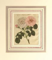 �ե꡼�ɥ�ҡ���ϥ󡦥楹�ƥ��󡦥٥�ȥ����� �־�ǯɴ�ʿ޴աץХ��� 1792ǯ��1830ǯ No.RS9