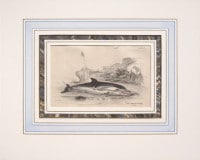 �����ꥢ�ࡦ���㡼�ǥ��� �֥ʥ����ꥹ���ѽ�� �����顦���륫�� 1833ǯ��43ǯ No.W23