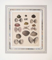 ���ɥ��ɡ�A���������� �ֿ����ޥ륯���������� 1827ǯ No.6