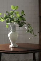 ¥Õ¥é¥ó¥¹¡¡Çò¤¤¥ª¥Ñ¥ê¥ó¥¬¥é¥¹¤Î¥Õ¥é¥ï¡¼¥Ù¡¼¥¹¡¡5704