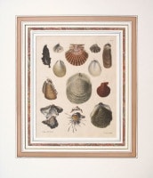 ���ɥ��ɡ�A���������� �ֿ����ޥ륯���������� 1827ǯ No.12