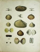 ���ɥ��ɡ�A���������� �ֿ����ޥ륯���������� 1827ǯ No.4