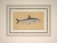 ���ɥ�ɡ��ɥΥ����� �ֱѹ񻺵����� 1802ǯ��08ǯ No.29