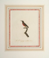 ����󡦥Хץƥ����ȡ������ɥ١��� �ֲ����Ļ�� 1802ǯ No.32