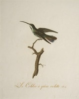 ����󡦥Хץƥ����ȡ������ɥ١��� �ֲ����Ļ�� 1802ǯ No.11