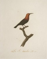 ����󡦥Хץƥ����ȡ������ɥ١��� �ֲ����Ļ�� 1802ǯ No.23