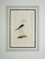 ���ɥ�ɡ��ɥΥ����� �ֱѹ�Ļ���� 1794ǯ��1819ǯ No.55