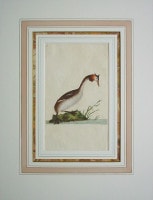 ���ɥ�ɡ��ɥΥ����� �ֱѹ�Ļ���� 1794ǯ��1819ǯ No.68