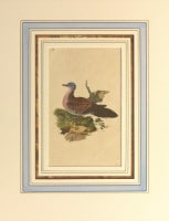 ���ɥ�ɡ��ɥΥ����� �ֱѹ�Ļ���� 1794ǯ��1819ǯ No.149