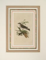 ���ɥ�ɡ��ɥΥ����� �ֱѹ�Ļ���� 1794ǯ��1819ǯ No.150