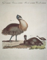 �ե꡼�ɥ�ҡ���ϥ󡦥楹�ƥ��󡦥٥�ȥ����� �־�ǯɴ�ʿ޴ա� Ļ�� 1792ǯ��1830ǯ No.OS77