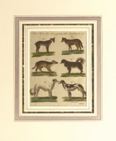 �ե꡼�ɥ�ҡ���ϥ󡦥楹�ƥ��󡦥٥�ȥ����� �־�ǯɴ�ʿ޴ա� ��­���� 1792ǯ��1830ǯ No.QP63