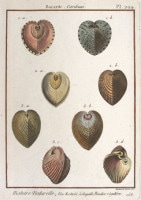 ����󡦥��硼�ࡦ�֥�奮������ �ּ�����ɴ���ηϿ���� ������ 1789ǯ No.294