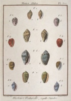 ����󡦥��硼�ࡦ�֥�奮������ �ּ�����ɴ���ηϿ���� ������ 1789ǯ No.377