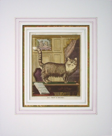 ジョルジュ・ルイ・ルクレール・ビュフォン伯爵 「一般と個別の博物誌」 1749年−1804年 No.557