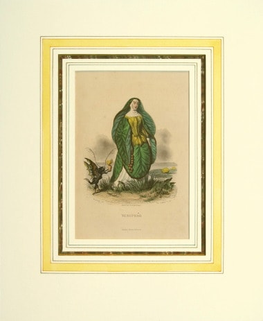 希少 デュラック挿絵 フランス赤十字用 1915年 フルカラー 輸入 aflo_124720973.jpg