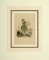 J��J������������ �ֲ֤����׿��� 1867ǯ No.234