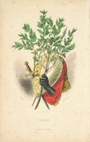 J��J������������ �ֲ֤����׿��� 1867ǯ No.211
