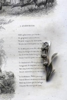 ꥢС Υڥȥإå 5500_05