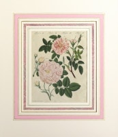 �ե꡼�ɥ�ҡ���ϥ󡦥楹�ƥ��󡦥٥�ȥ����� �־�ǯɴ�ʿ޴աץХ��� 1792ǯ��1830ǯ No.RS11