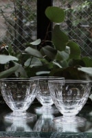 �Х��顡�����ࡡ �磻�󥰥饹���ޡ���̵����5948