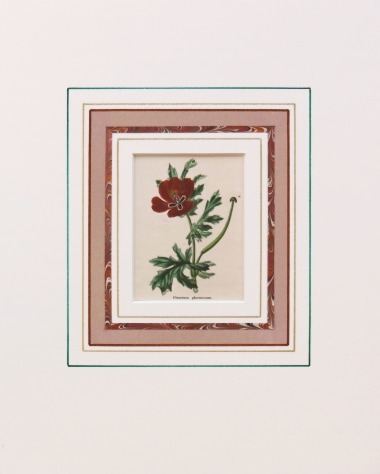 ベンジャミン・モーンド 「植物園」 1825年−51年 No.349