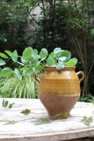 ե19ʩƫݥ꡼㡼6325