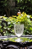 Х顡ա奢󡡥ꥭ塼륰饹8cm6817