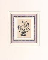 �٥󥸥�ߥ󡦥⡼��� �ֿ�ʪ��� 1825ǯ��51ǯ No.351