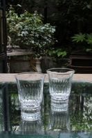 �ե�󥹡��ɡ��ࡡ�������������饹��66mm��7544