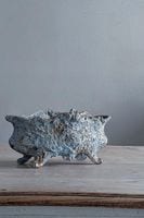 ե󥹡ʪΥǥ˥롡7110