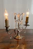 �ե�󥹡����ꥹ���륷���ǥꥢ�ɥ��åס������󿧤Υ��ץ�����ɡ�7267