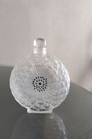 ���å���Dahlia�����ꥢ���ѥҥ塼��ܥȥ롡����ӡ�7095