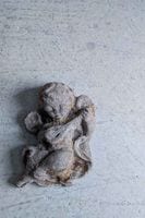 �ե�󥹡����󥯥꡼�ȤΥ��󥸥��롡��������ǥ����� 7838