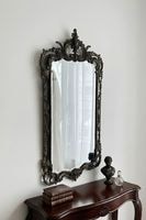 �ե�󥹡����������礭�ʥ֥��󥺥ߥ顼��6529