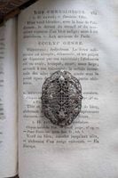 �ե�󥹡����٤ʥǥ�����Υե��ꥰ�꡼�֥�������752101