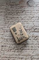 �ե�󥹡���������ɤΥԥ륱������/���ݥ�ȥ�͡������󥱡�����7571