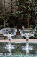 �Х��顡�����ԥˡ��������ѥ󥯡��ס�6366_7998