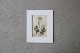 �ѹ�Ƽ�ǲ��̿� ��The family herbal��John Hill 1812ǯ �إ��٥��饯��&���������ɥ�&�ѡ����˥åס١�No.MA_JH09