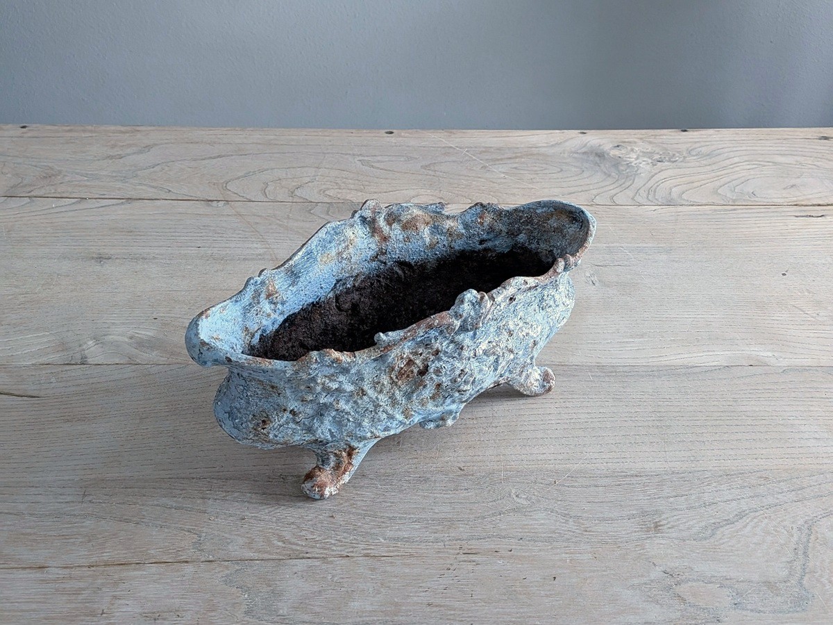 �ե�󥹡���ʪ�Υ����ǥ��˥����롡7110