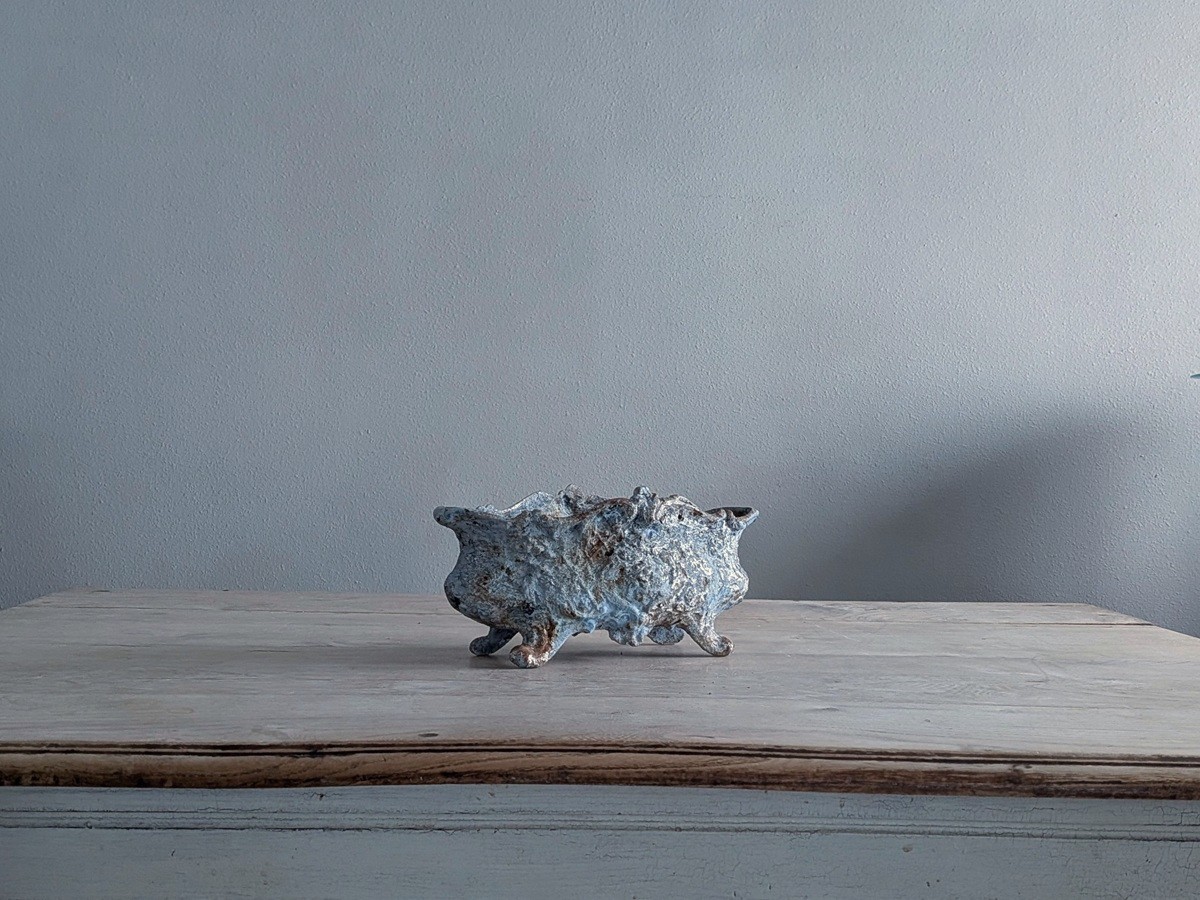 �ե�󥹡���ʪ�Υ����ǥ��˥����롡7110