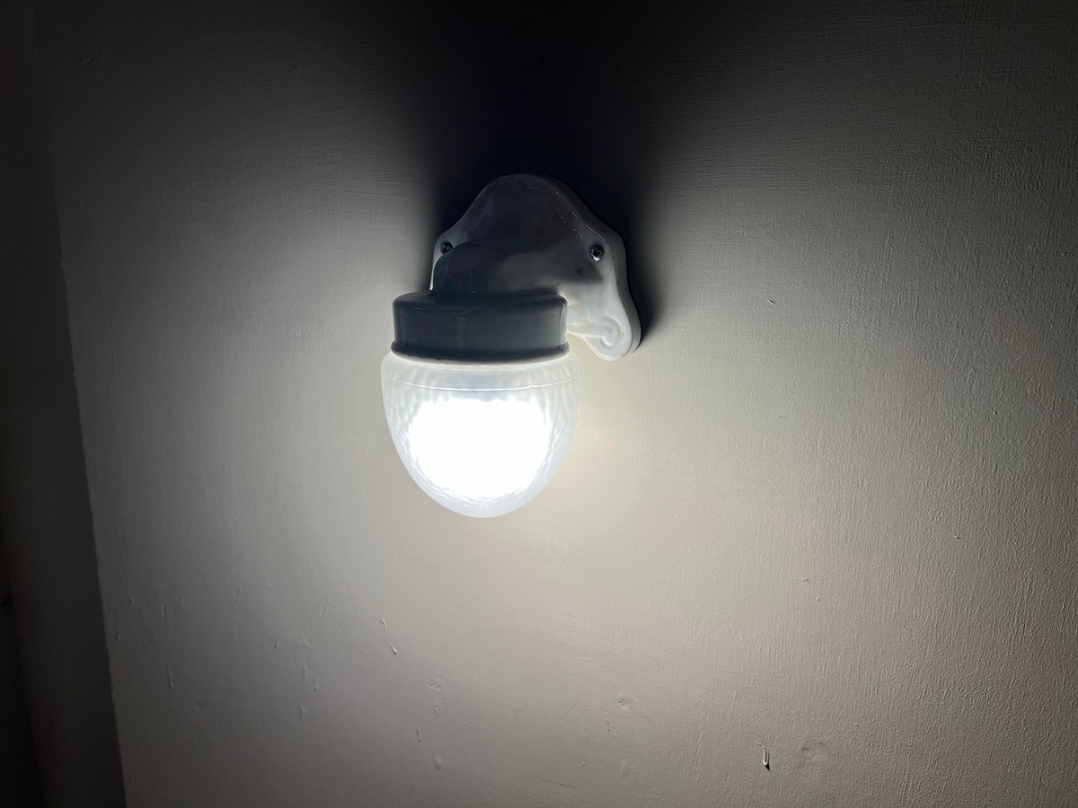 �ɥ��ġ�����ߥå��ȥե����ȥ��饹�Υ֥饱�åȥ��ס�7363