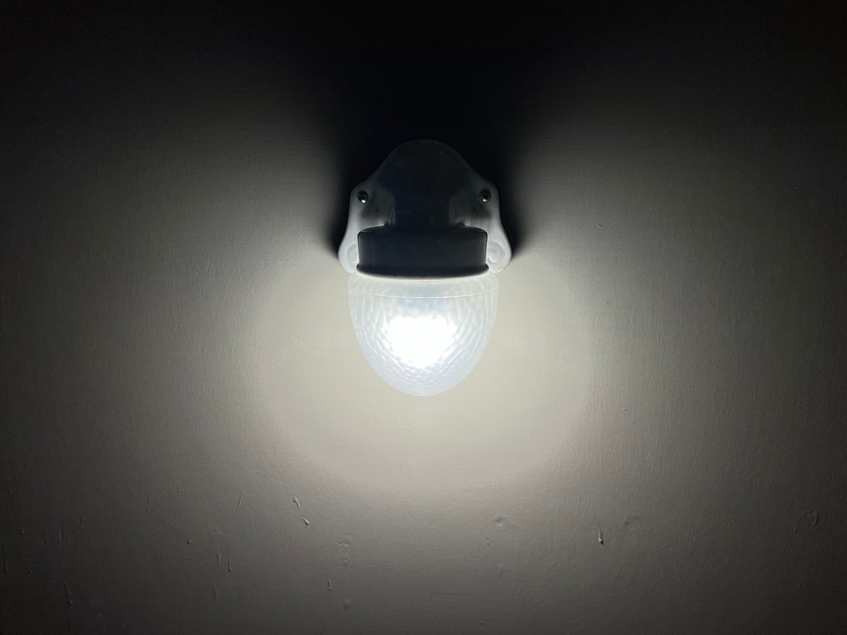 �ɥ��ġ�����ߥå��ȥե����ȥ��饹�Υ֥饱�åȥ��ס�7363