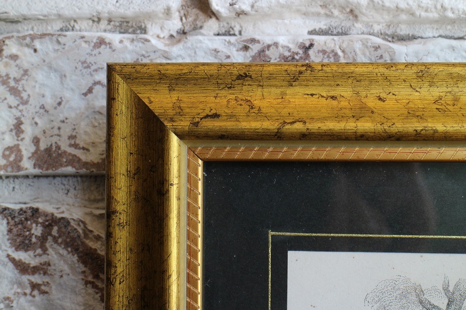 �ե�󥹡�����󥽥���ؽ��� CHANTS ��1843ǯ�����ǲ衡������ɥץ��� �ե졼���ա���1843_02