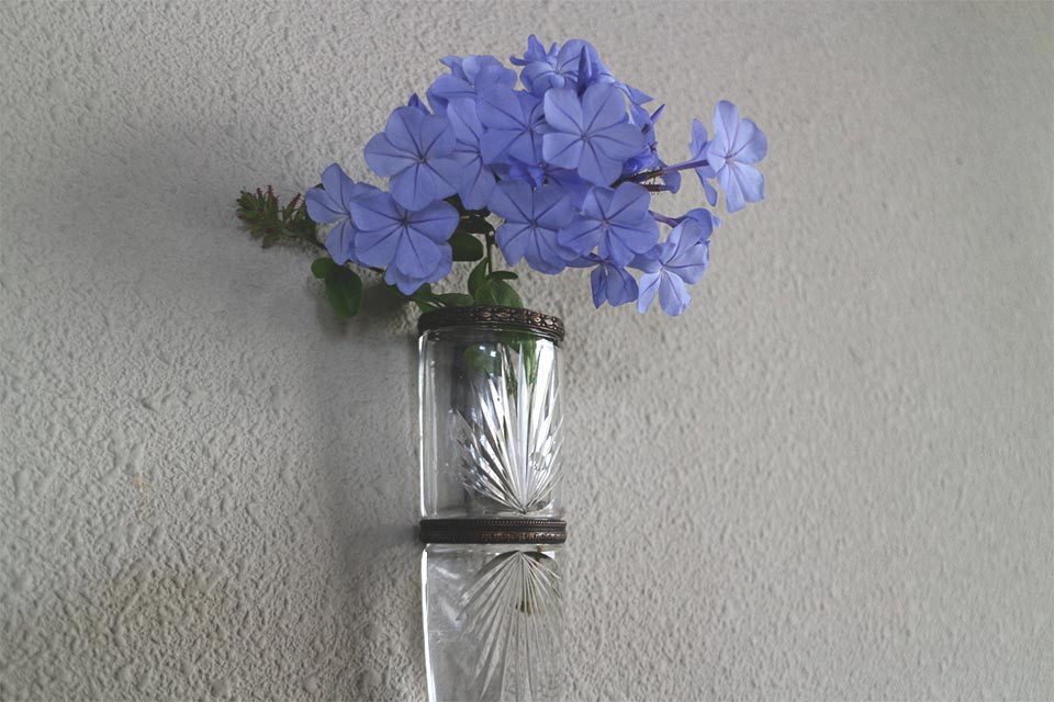 �ե�󥹡����åȥ��饹���ϥ󥮥󥰥ե��١�����4280