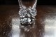 �ɡ��ࡡSORCY������֥顼��73mm��6066