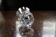 �ɡ��ࡡSORCY������֥顼��73mm��6066