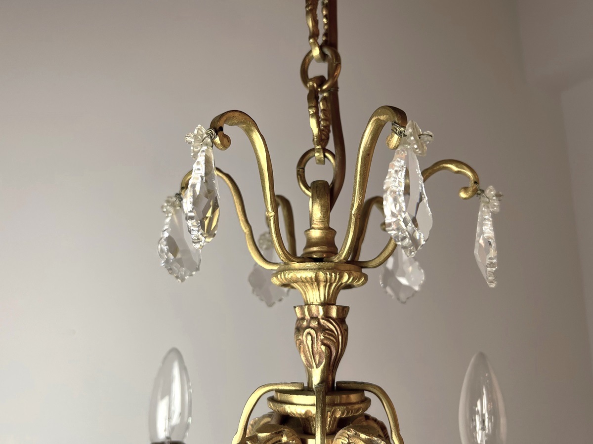 �ե�󥹡�����ƥ����������ꥹ����ɥ��åפ��Ĥ���4�����ξ����ʥ֥��󥺥����ǥꥢ����6016