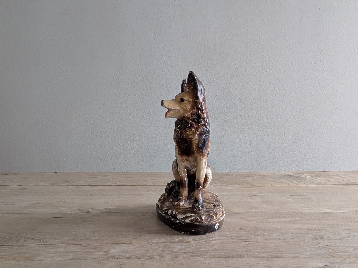 �ե�󥹡��ץ饹�������йѡˡ�������ʪ��265mm��7126