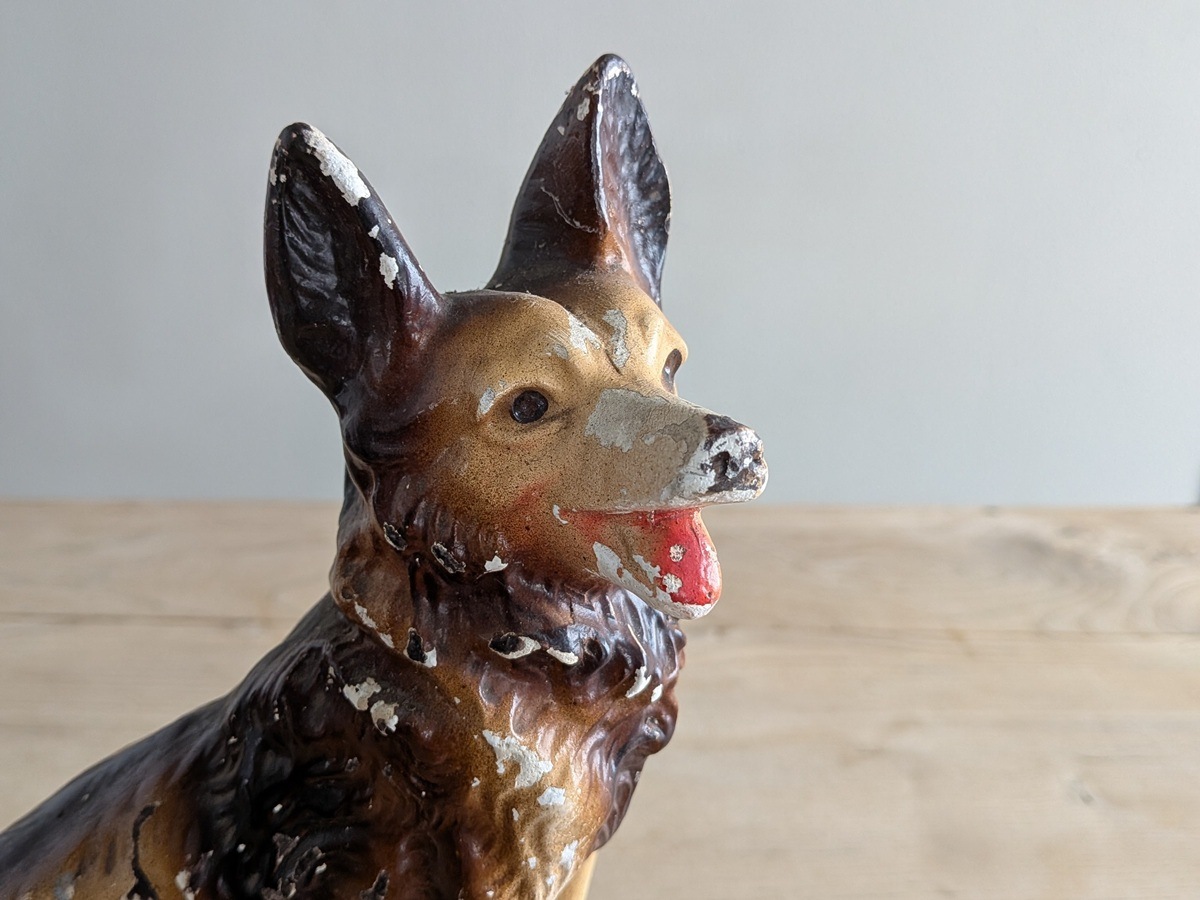 �ե�󥹡��ץ饹�������йѡˡ�������ʪ��265mm��7126